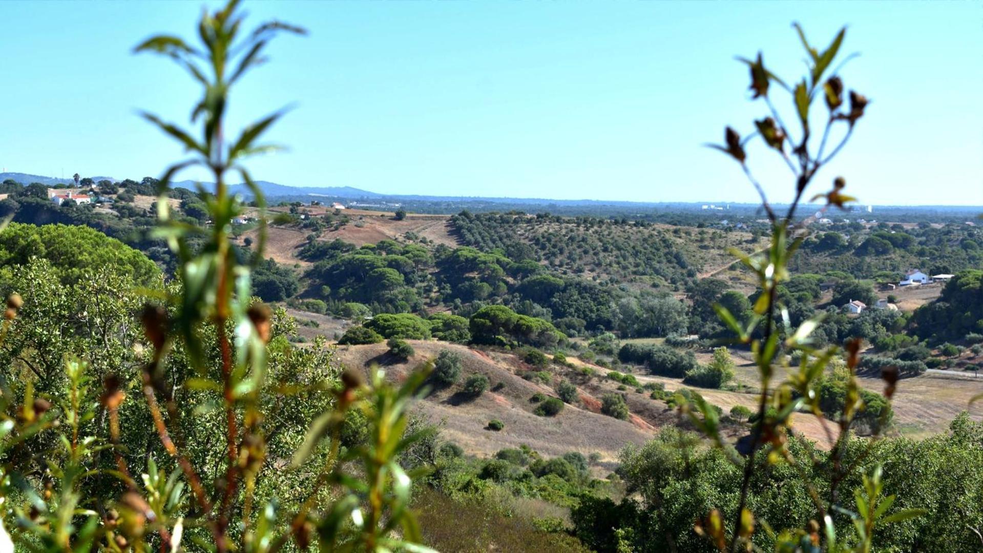 Penzion Monte Sardinha Santiago do Cacém Exteriér fotografie