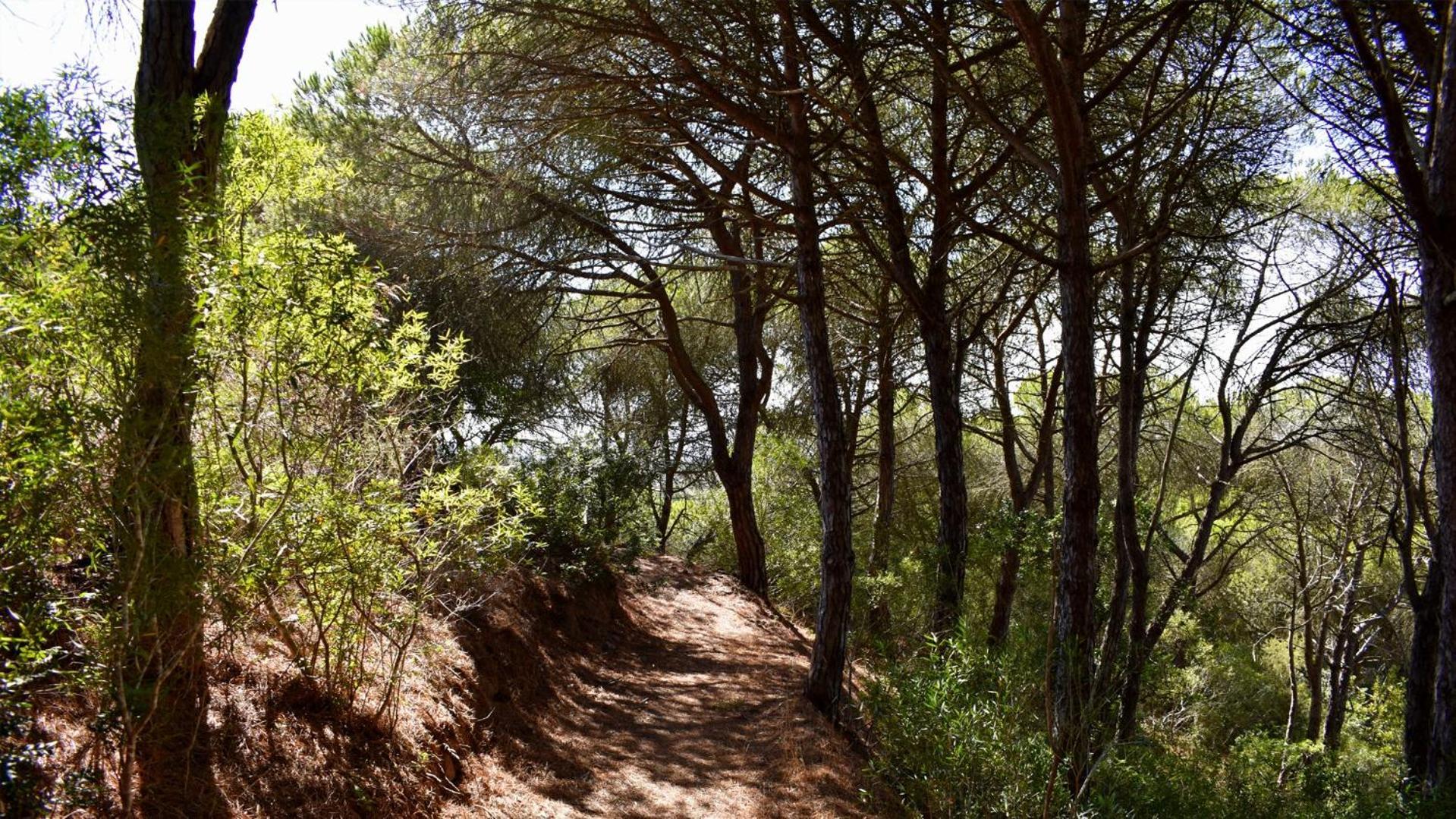 Penzion Monte Sardinha Santiago do Cacém Exteriér fotografie